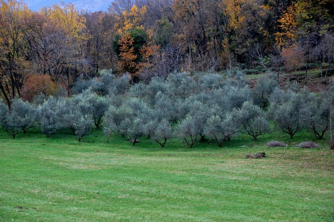 Albergo Rurale Parco Di San Floriano Polcenigo Экстерьер фото